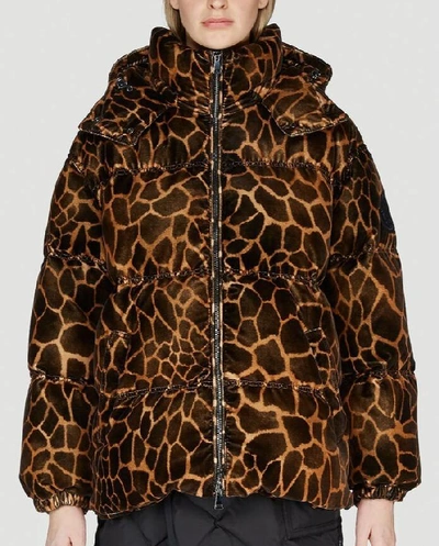 Shop Moncler Leopard Print Padded Down Jacket In Multi