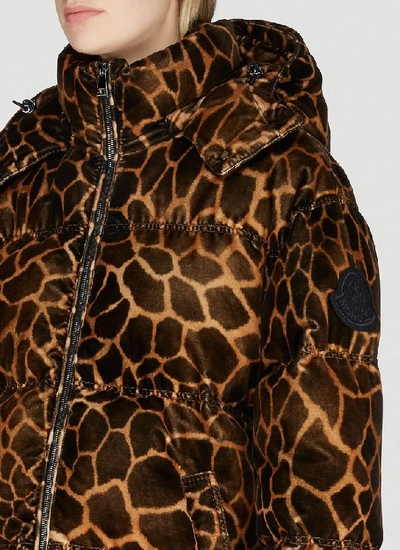 Shop Moncler Leopard Print Padded Down Jacket In Multi