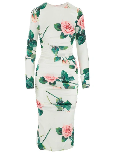 Shop Dolce & Gabbana Tropical Rose Print Fitted Dress In Multi