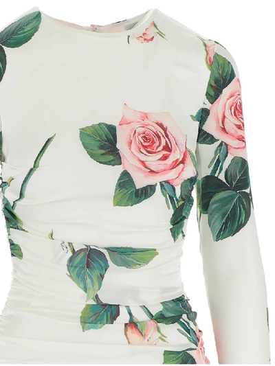 Shop Dolce & Gabbana Tropical Rose Print Fitted Dress In Multi