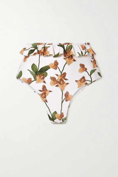 Shop Agua By Agua Bendita Alicia Ruffled Floral-print Bikini Briefs In Cream