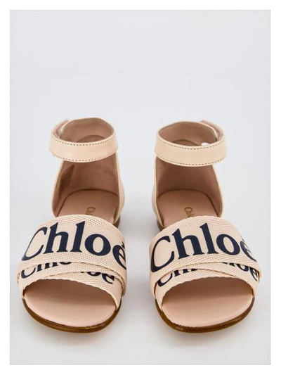 Shop Chloé Kids In Rose