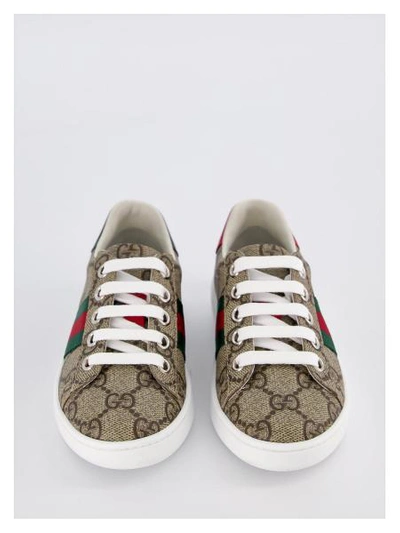 Shop Gucci Kids Sneakers For Girls In Brown