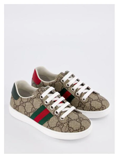 Shop Gucci Kids Sneakers For Girls In Brown