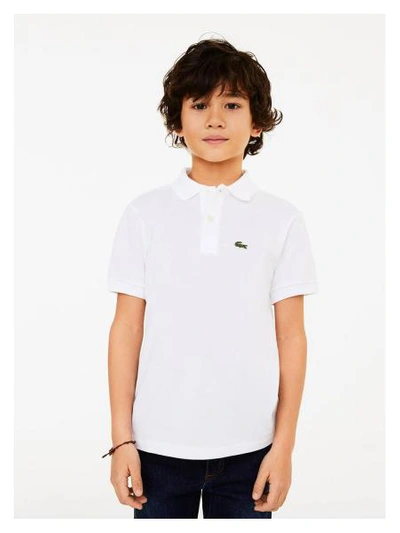Lacoste Kids' White Polo Shirt For Boy With Green Crocodile In Bianco |  ModeSens