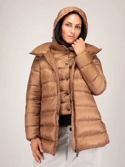 Shop Moncler Ange Giubbotto In Brown