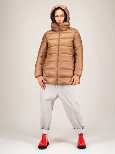 Shop Moncler Ange Giubbotto In Brown