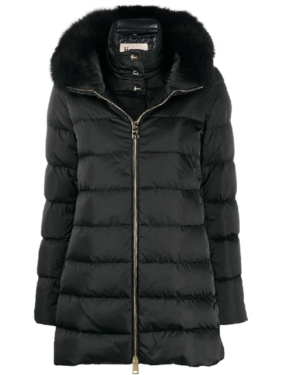 Shop Herno Layered-effect Padded Coat In Black