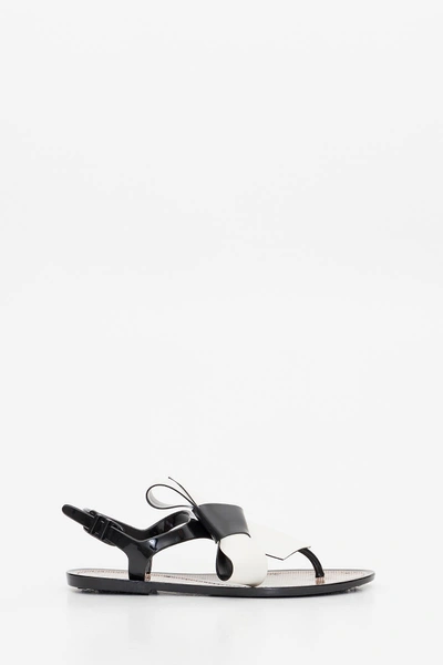 Shop Red Valentino Bow Flat Sandals In Black