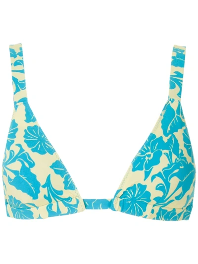 Clube Bossa Paladina Bikini Top In Green