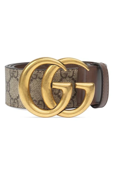 Shop Gucci Gg Supreme Canvas Belt In Brown