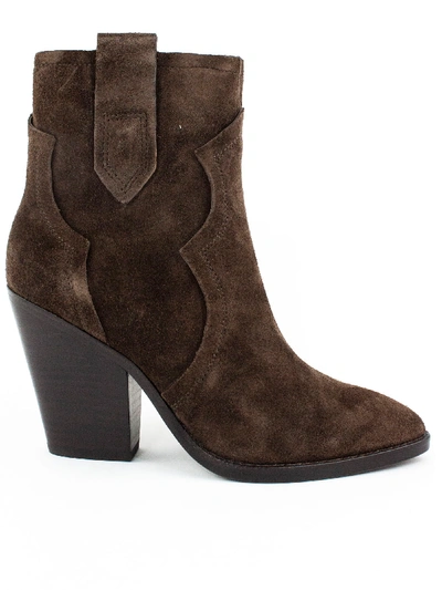Shop Ash Brown Esquire Ankle Boots In Caffe