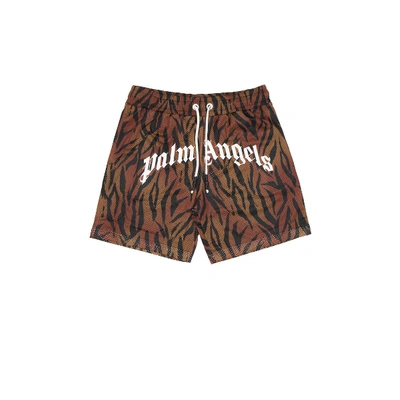 Shop Palm Angels Tiger Mesh Shorts In Brown