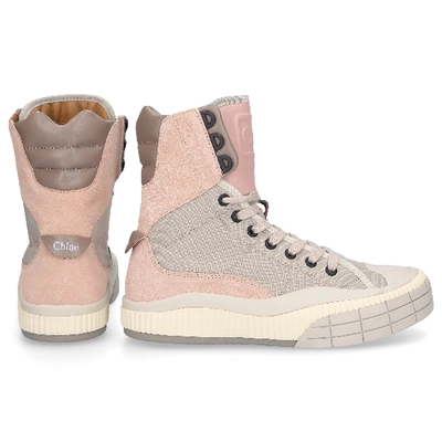 Shop Chloé Sneaker High Clint Kalbsvelours Nylon Logo Beige Altrosa