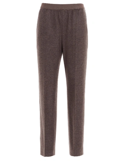 Shop Agnona Pants In Marrone