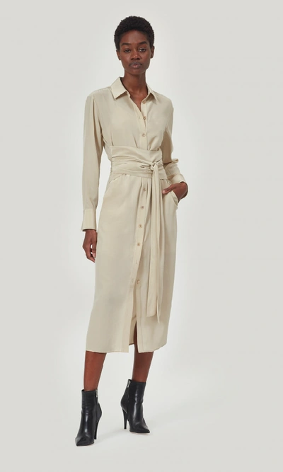 Shop Equipment Jarvisse Long Sleeve Silk Dress In Humus