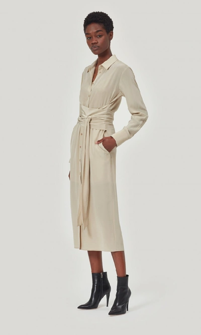 Shop Equipment Jarvisse Long Sleeve Silk Dress In Humus