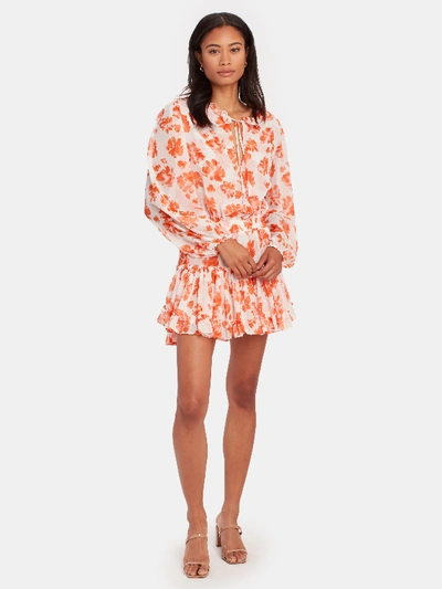 Shop Misa Lorena Chiffon Mini Dress - S - Also In: Xs, M In Orange