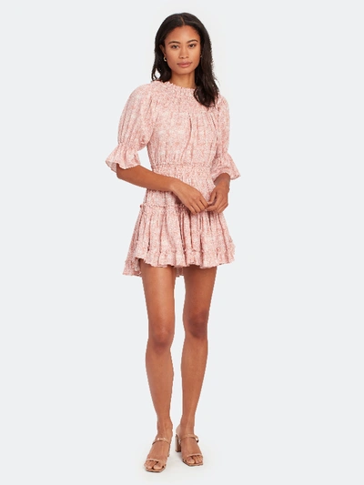 Shop Misa Darla Off-the-shoulder Chiffon Mini Dress - M - Also In: Xs, L In Pink