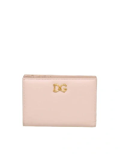Shop Dolce & Gabbana Small Wallet In Powder Color Leather