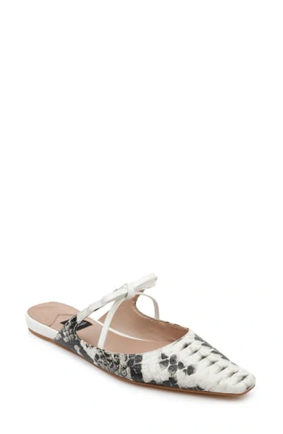 Shop Zac Zac Posen Valencia Mule In Snake Print Leather