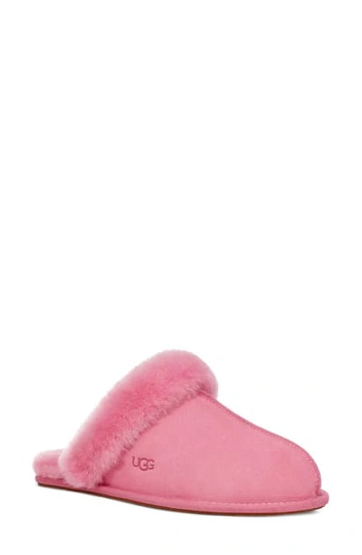 Shop Ugg Scuffette Ii Slipper In Wild Berry Suede