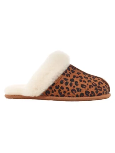 Shop Ugg Women's Scuffette Ii Leopard-print Calf Hair Sheepskin Slippers In Natural