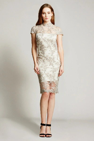 Shop Tadashi Shoji Taida Lace Cocktail Dress