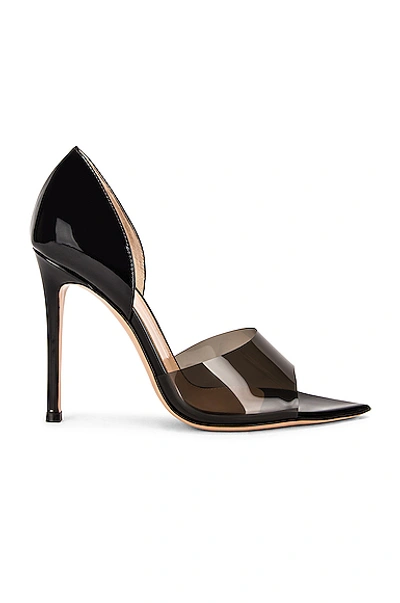 Shop Gianvito Rossi Pointed Toe Pumps In Fume & Black
