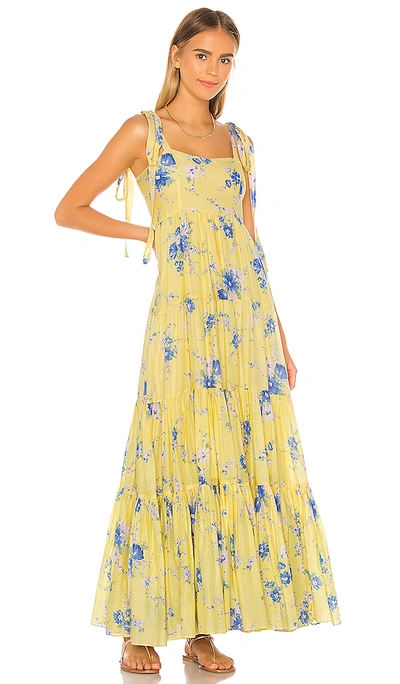 Shop Loveshackfancy Burrows Dress In Sunshower Garden