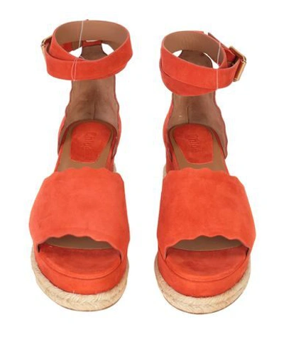 Shop Chloé Sandals In Orange