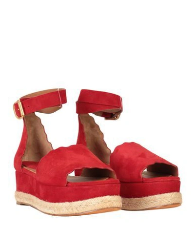 Shop Chloé Sandals In Red