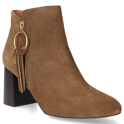 Shop See By Chloé Ankle Boots Brown Sb341