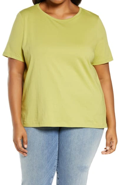 Shop Eileen Fisher Organic Cotton T-shirt In Field