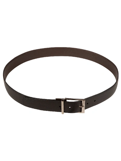 Shop Burberry Louise Belt In Black/chocolate