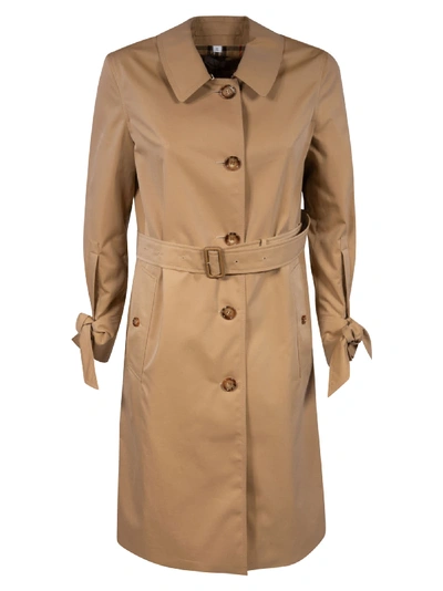 Shop Burberry Single-breasted Belted Coat In Brown