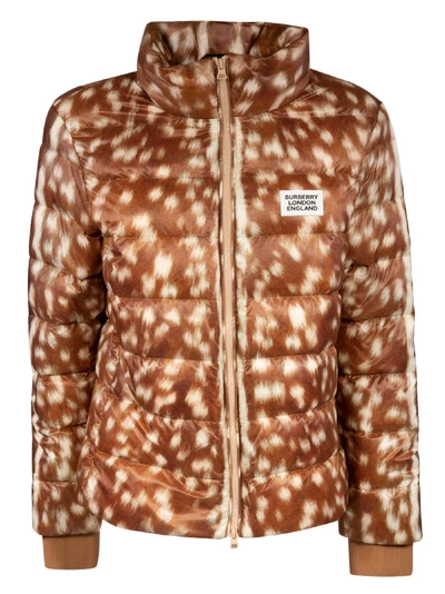 Shop Burberry Chest Logo Patch Padded Jacket In Brown/white