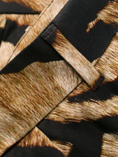 Shop Dolce & Gabbana Tiger-print Tailored Shorts In Black