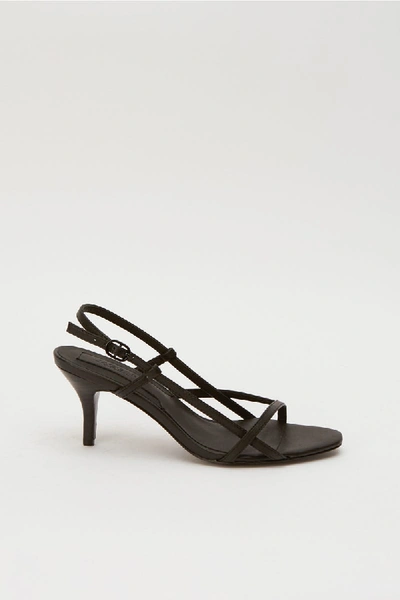 Shop Jaggar Harness Sandal In Black