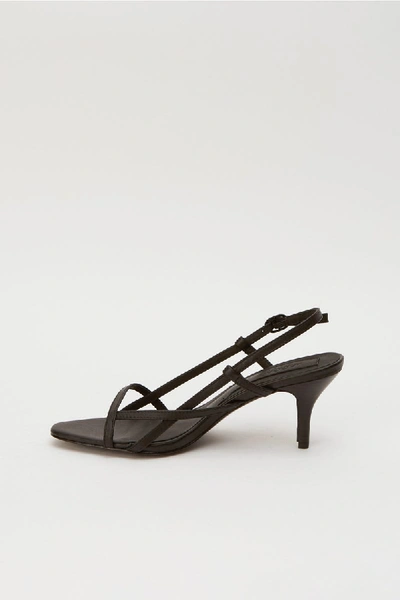 Shop Jaggar Harness Sandal In Black