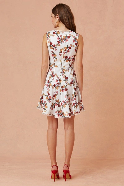 Shop Keepsake Everlasting Mini Dress In Porcelain Vine