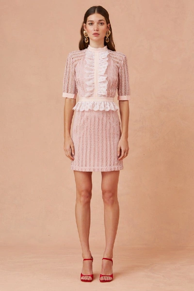 Shop Keepsake Portrait Mini Dress In Blush