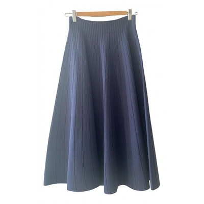 Pre-owned Barbara Casasola Blue Skirt