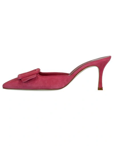 Shop Manolo Blahnik Pink Maysale Mule