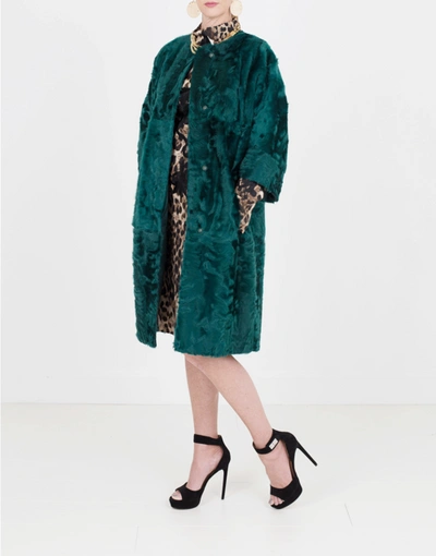 Shop Marni Xiangao Lamb Fur Coat In Emerald