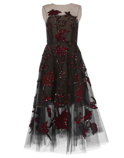 Shop Oscar De La Renta Tulle Ruby Embroidered Dress