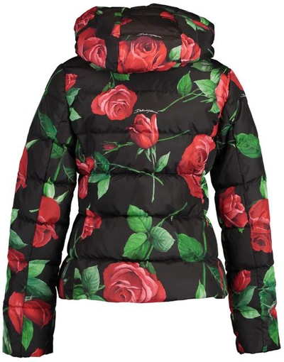 Shop Dolce & Gabbana Rose Print Fitted Down Jacket With Hood In Ros/blk