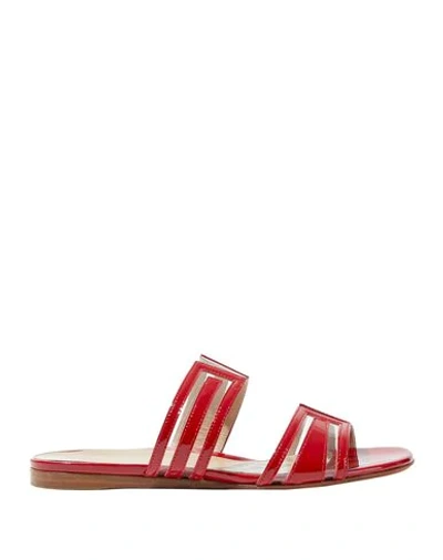 Shop Marion Parke Woman Sandals Red Size 8 Soft Leather