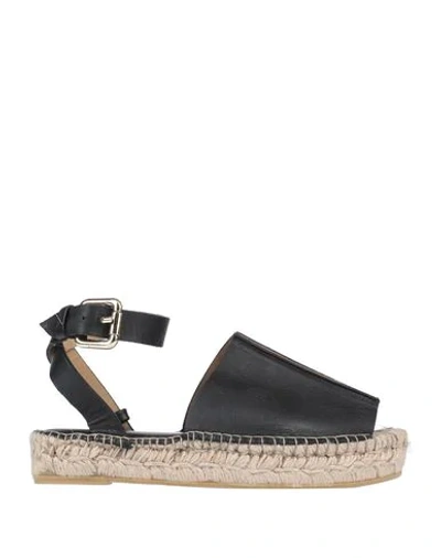 Shop Liviana Conti Espadrilles In Black