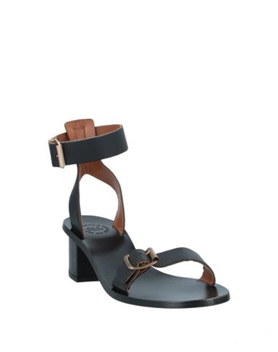 Shop Atp Atelier Sandals In Black